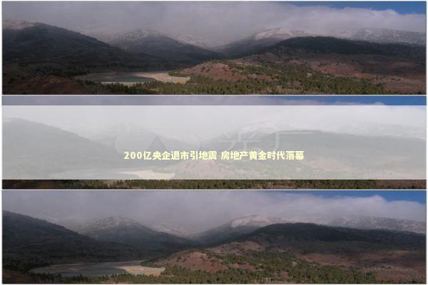 200亿央企退市引地震 房地产黄金时代落幕 新闻