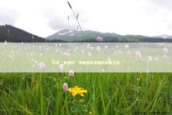 北京“青创村”搭建青年发展的未来之城 新闻