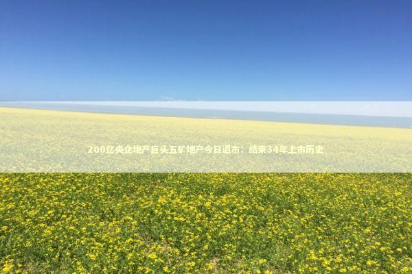 200亿央企地产巨头五矿地产今日退市：结束34年上市历史 新闻