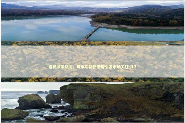 遵循政策航向，筑牢期货新态势引发市场关注_12 新闻