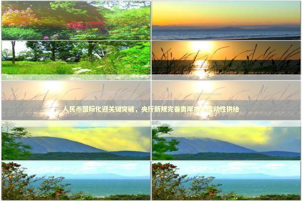 人民币国际化迎关键突破，央行新规完善离岸市场流动性供给 新闻