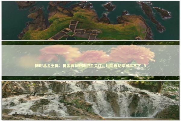 博时基金王祥：黄金再获避险资金关注，短期波动率居高不下_5 新闻