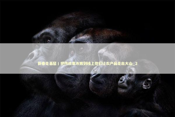 新春走基层丨把传统集市搬到线上他们让农产品走出大山_2 新闻