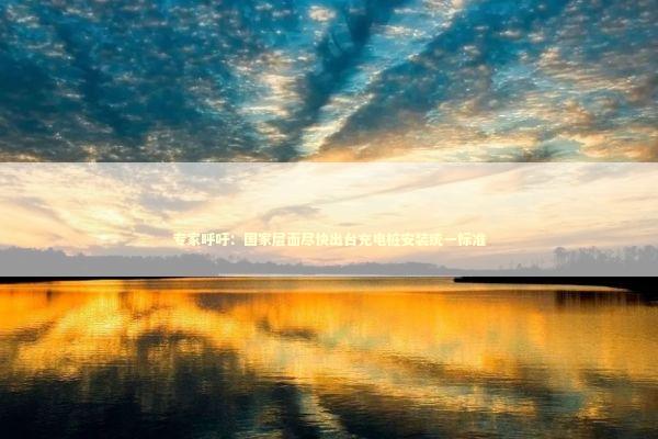 专家呼吁：国家层面尽快出台充电桩安装统一标准 新闻