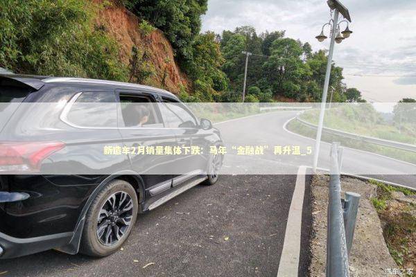 新造车2月销量集体下跌：马年“金融战”再升温_5 新闻