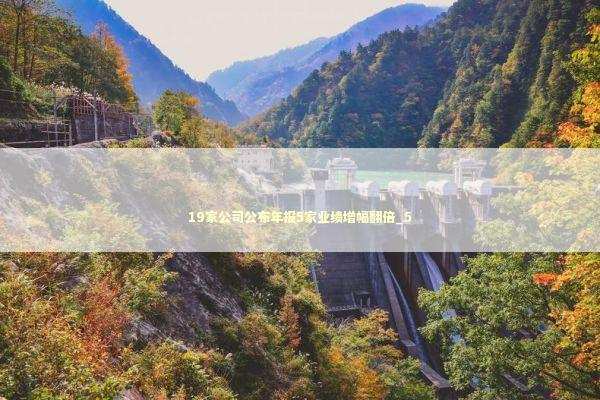 19家公司公布年报5家业绩增幅翻倍_5 新闻