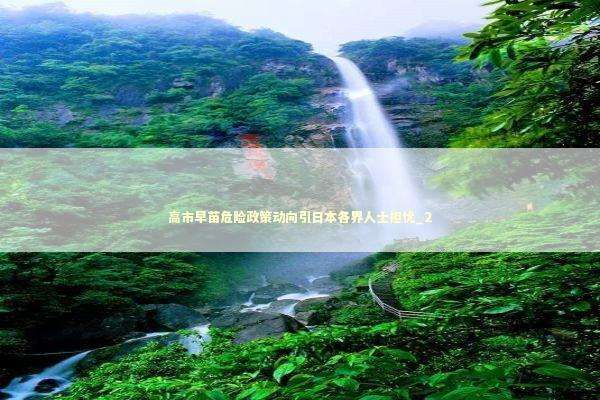 高市早苗危险政策动向引日本各界人士担忧_2 新闻