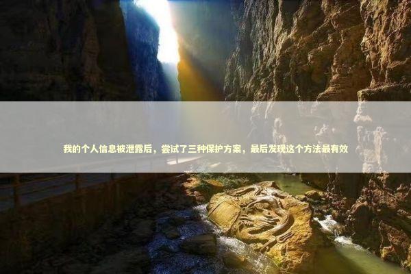 我的个人信息被泄露后，尝试了三种保护方案，最后发现这个方法最有效 IT技术