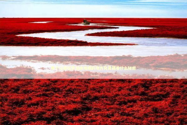 那个让老玩家彻夜难眠的地方究竟藏着什么秘密 时尚用品