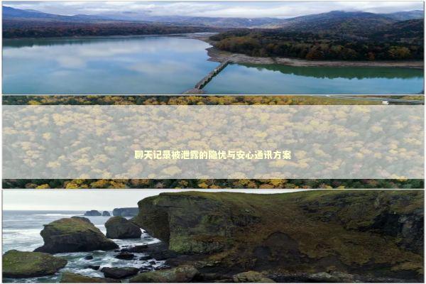 聊天记录被泄露的隐忧与安心通讯方案 IT技术