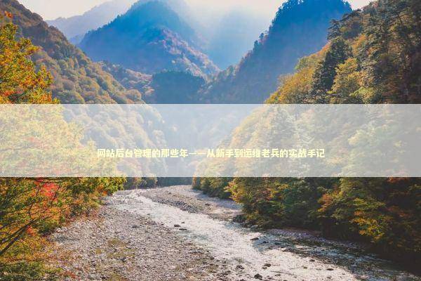 网站后台管理的那些年——从新手到运维老兵的实战手记