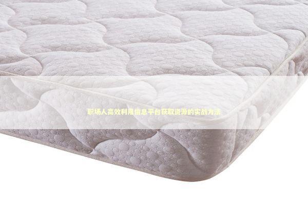 职场人高效利用信息平台获取资源的实战方法 企业服务