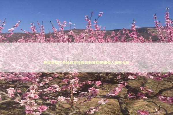 老买家从不争抢首页推荐这款背后逻辑令人恍然大悟 时尚用品